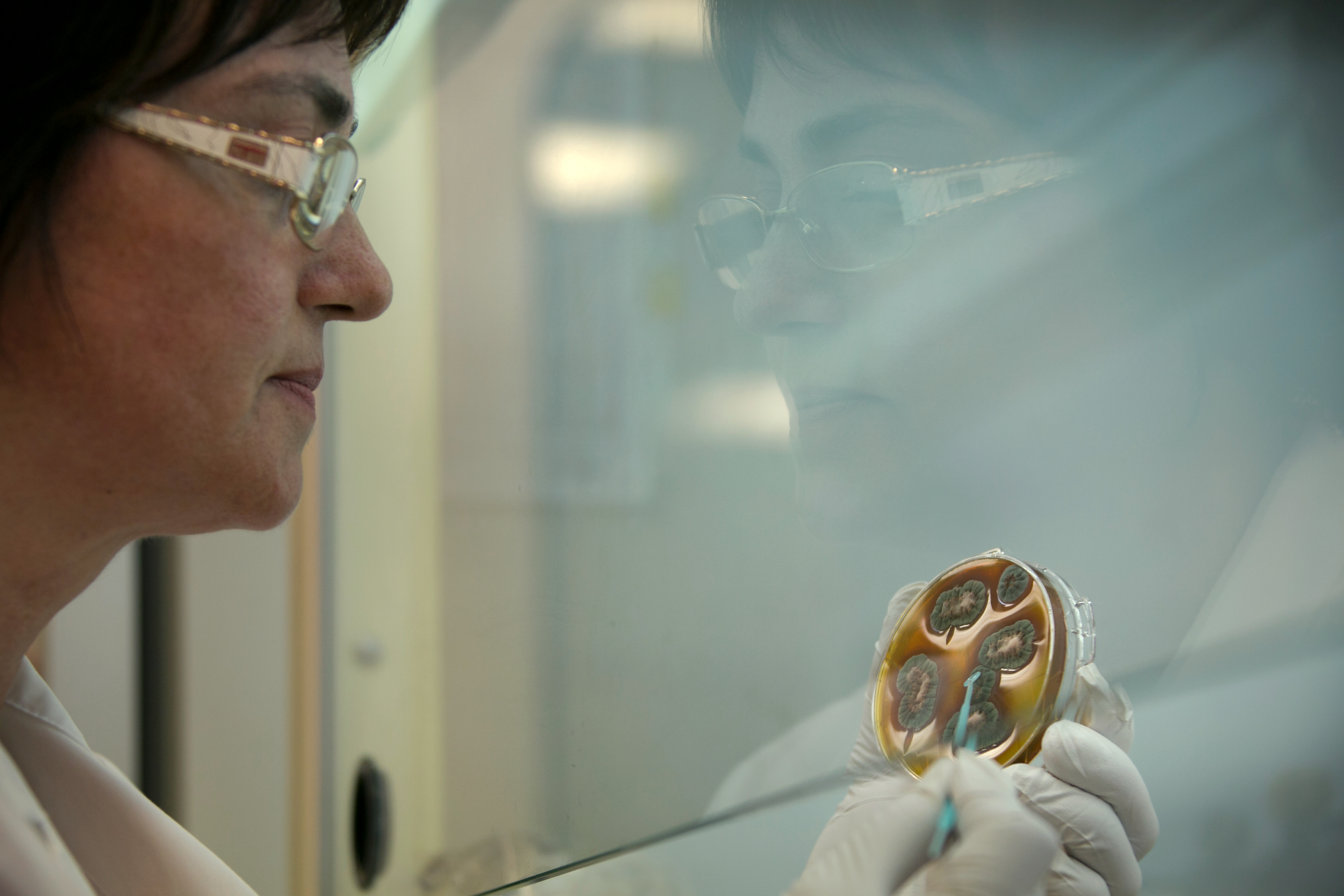 Scientist with petri dish - DEEP PURPLE project