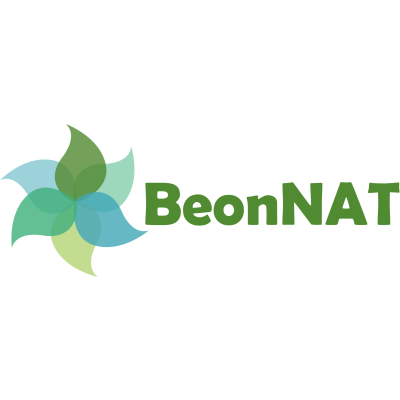 BeonNAT-logo