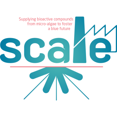 Scale logo