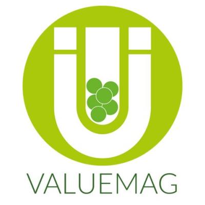 valuemag_logo