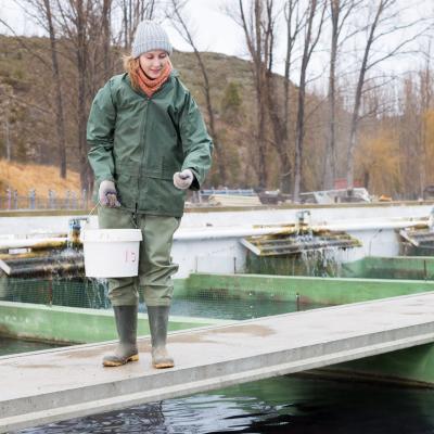 Woman feeding fish in a fish farm