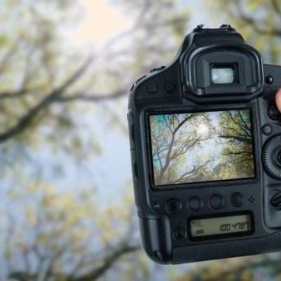 Camera in nature