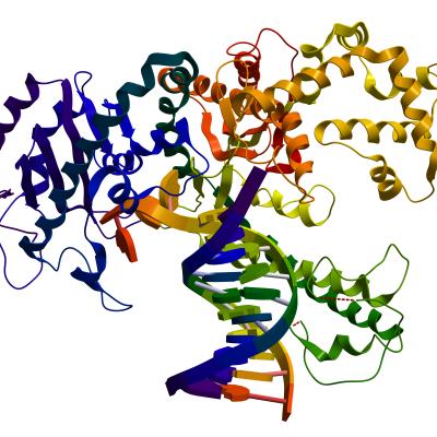 protein molecule