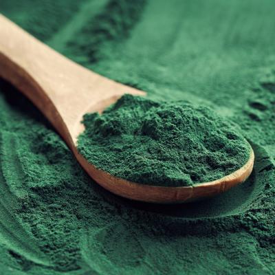 CBE JU-funded MULTI-STR3AM project spirulina powder