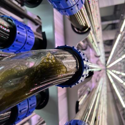 CBE JU-funded SCALE biorefinery. Shot of microalgae cultivation