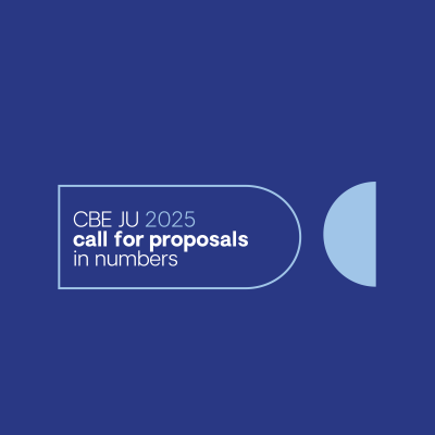 2025 call participation results