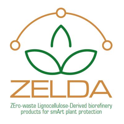 ZELDA project logo