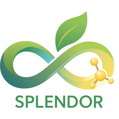 CBE JU-funded SPLENDOR project logo