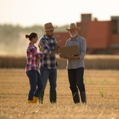 Farmers in a field
