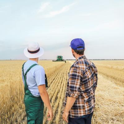 Farmers in a field