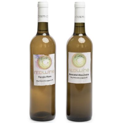 REDWINE microalgae white wine