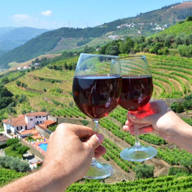 Researchers in Portugal are capturing CO₂ from winemaking to grow algae. 