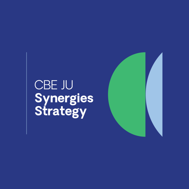 Synergies strategy_web-02.png