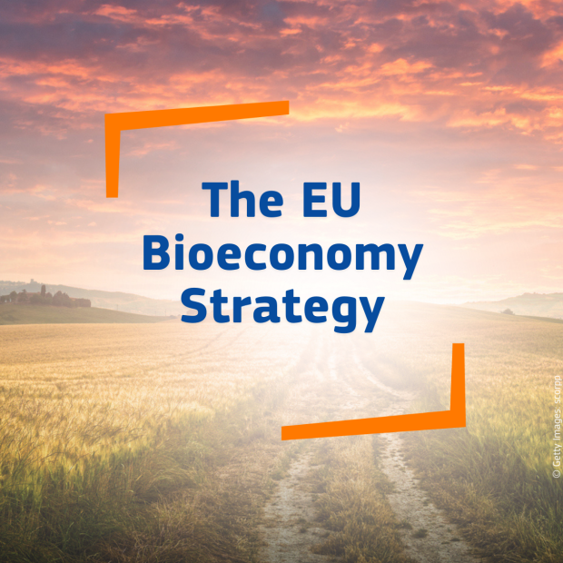Bioeconomy strategy