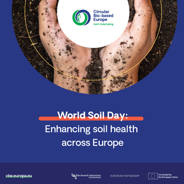world soil day
