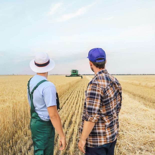 Farmers in a field