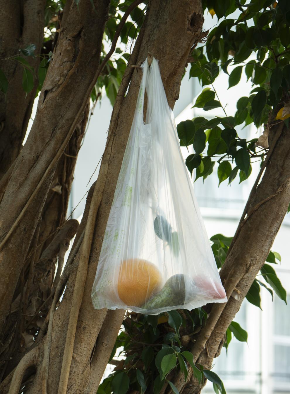 Bio-based bag by the CBE JU-funded FIRST2RUN project