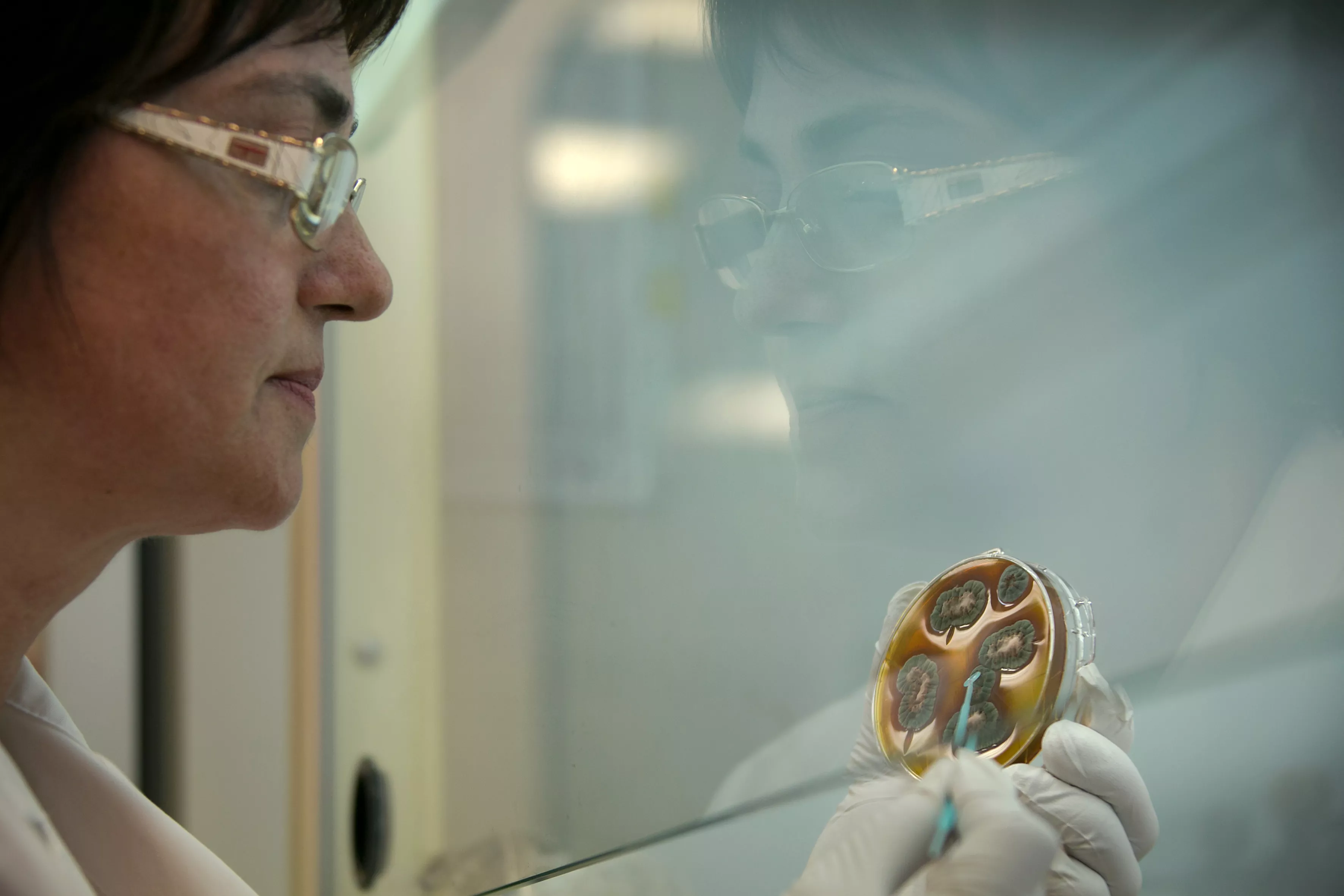 female scientist at work