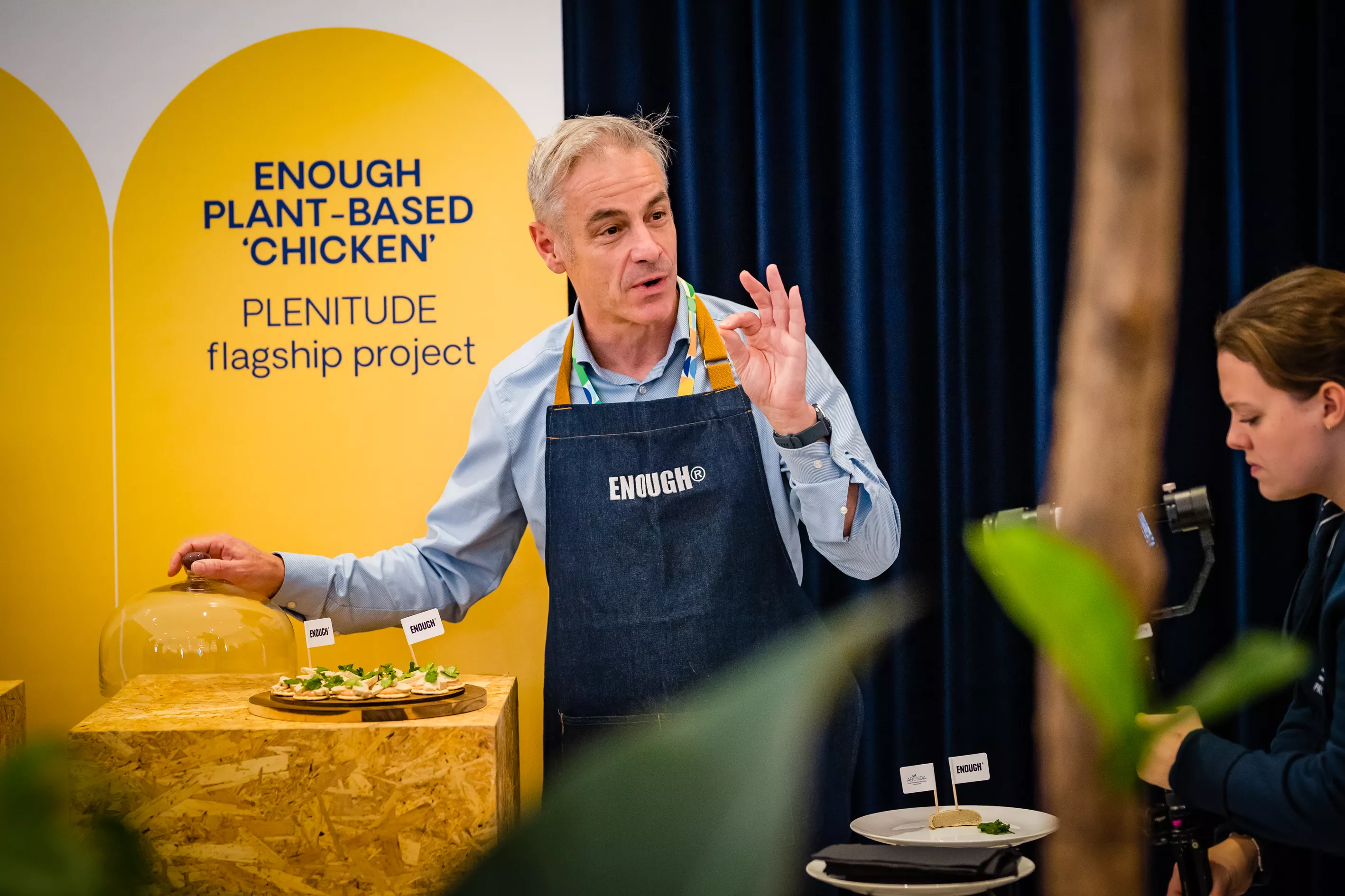 Presentation of the plant-based chicken