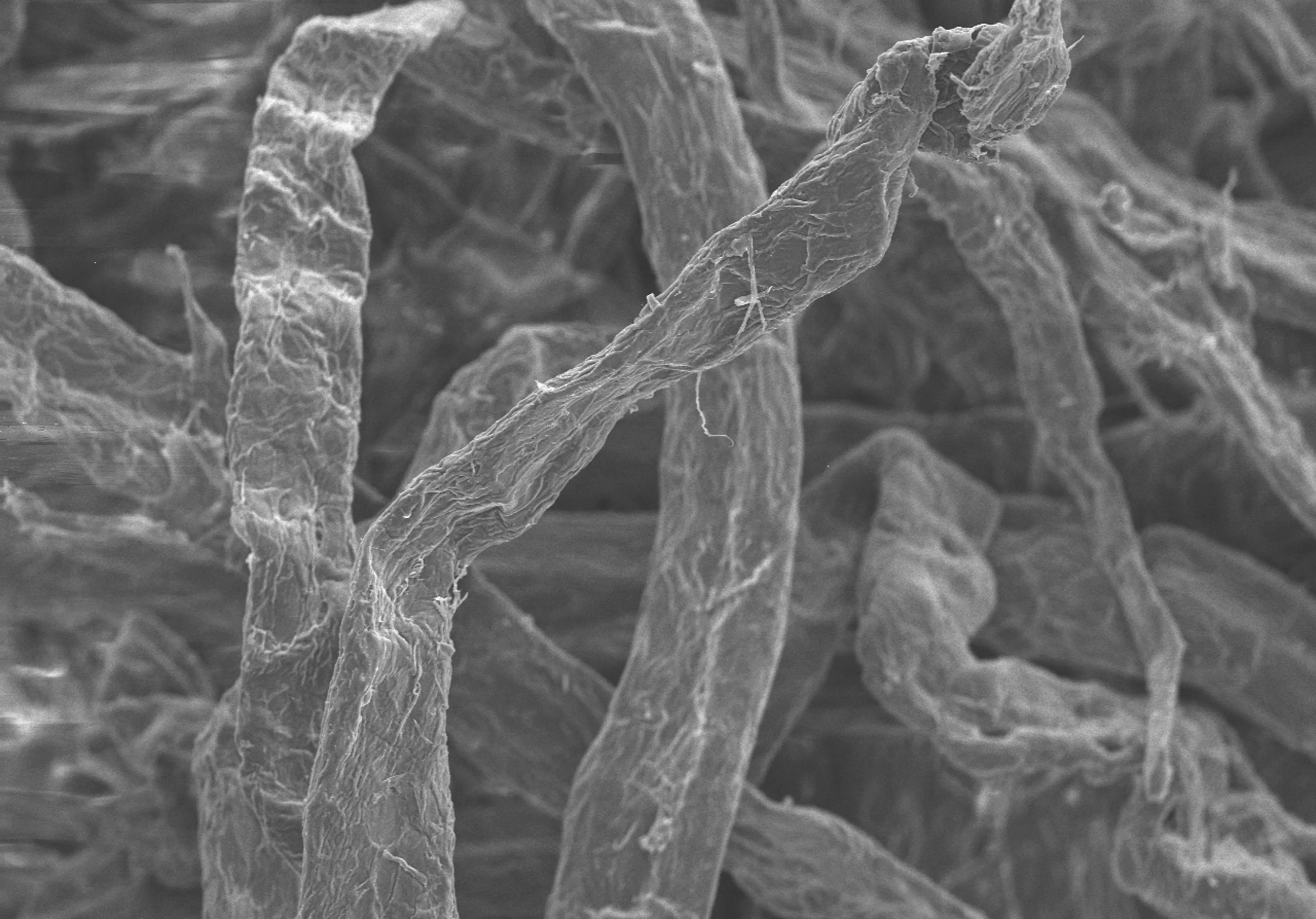 GRETE mircrofibers
