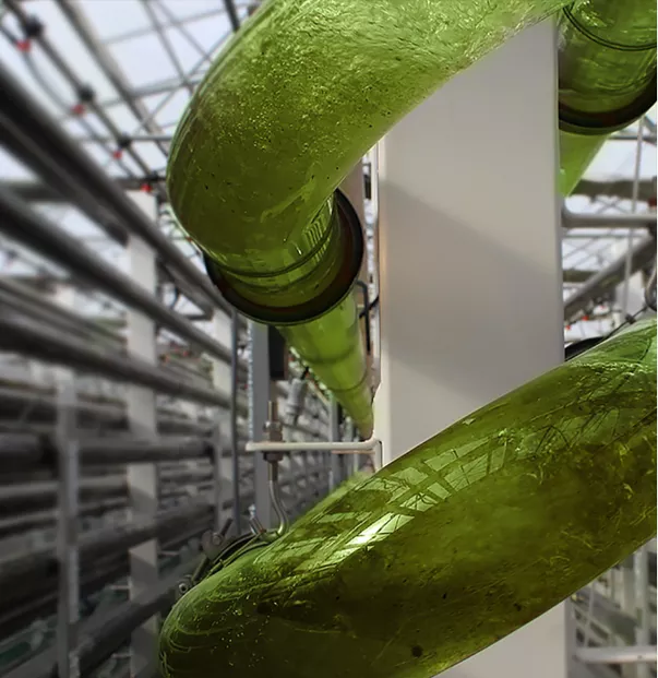 Inside overview of SCALE biorefinery