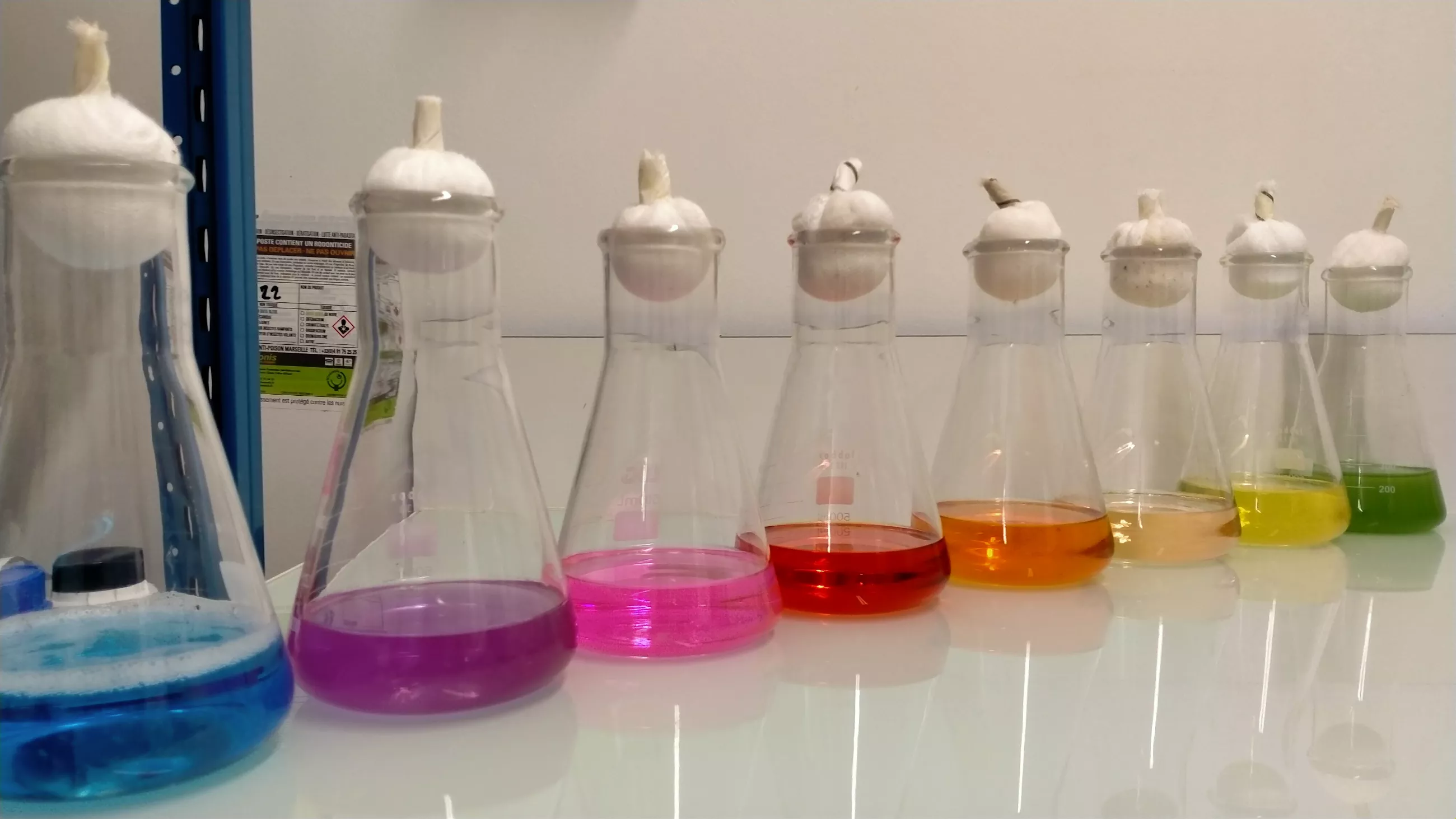 SCALE  erlemeyer flask
