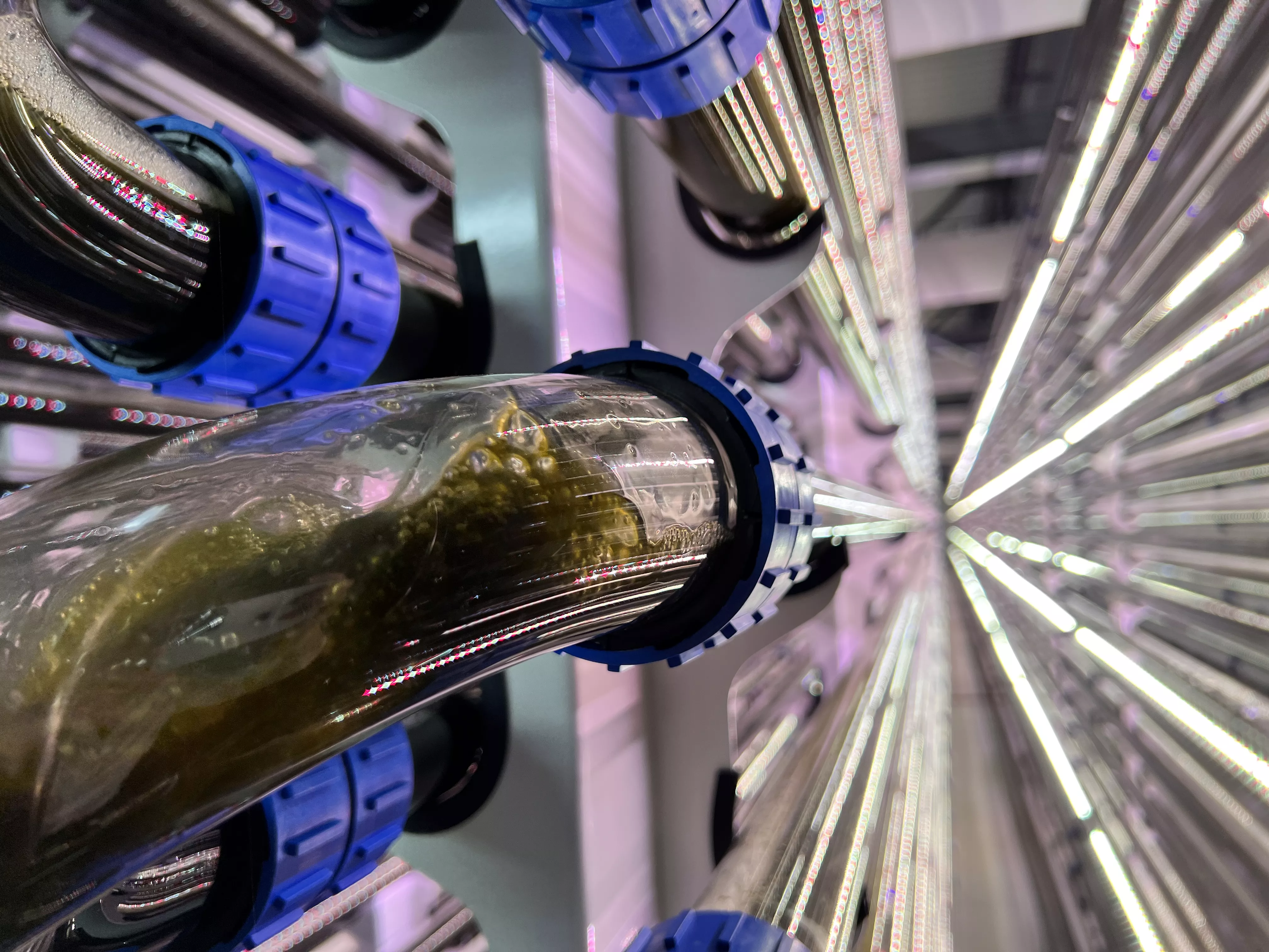 CBE JU-funded SCALE biorefinery. Shot of microalgae cultivation