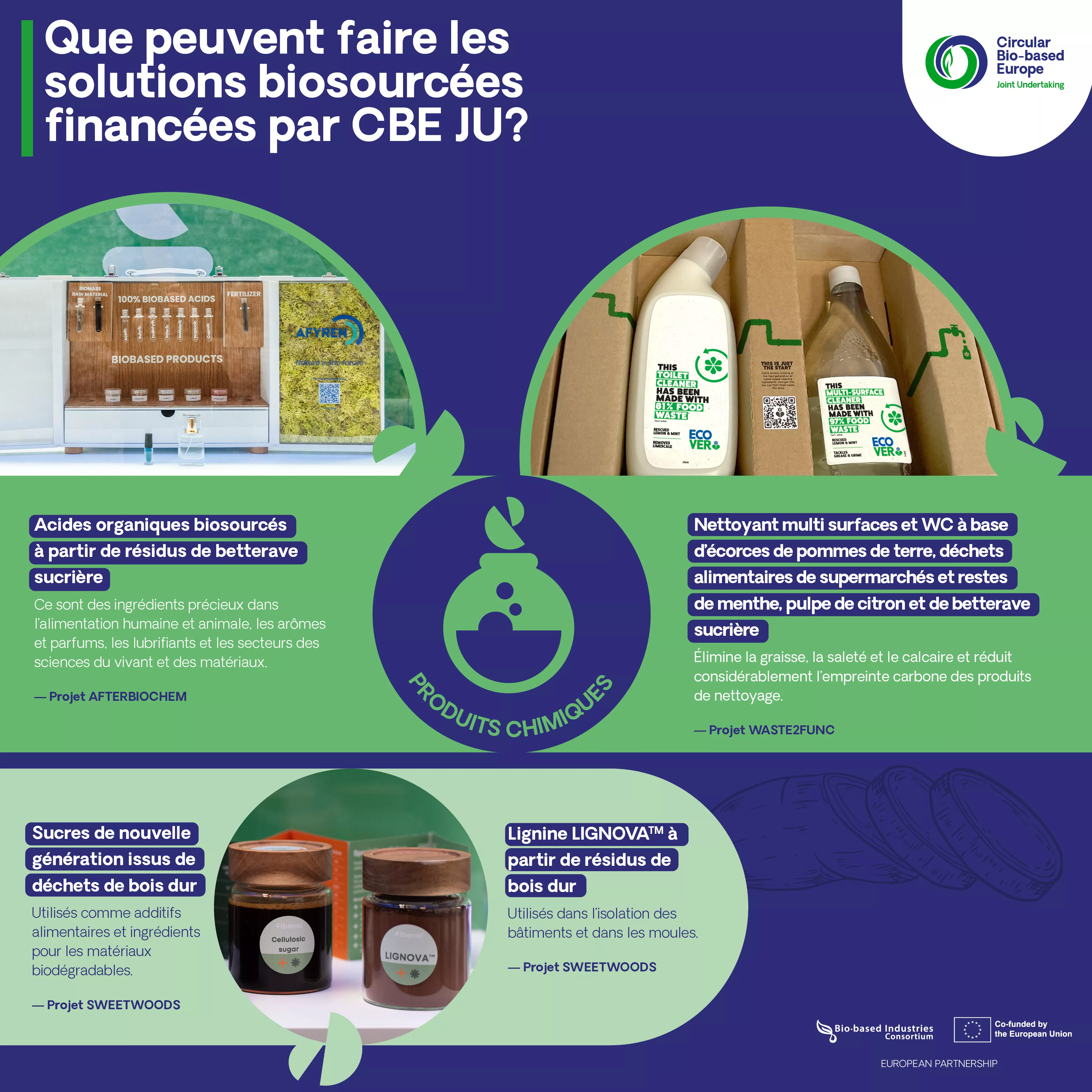 Que peuvent faire les solutions biosourcées financées par CBE JU? 2