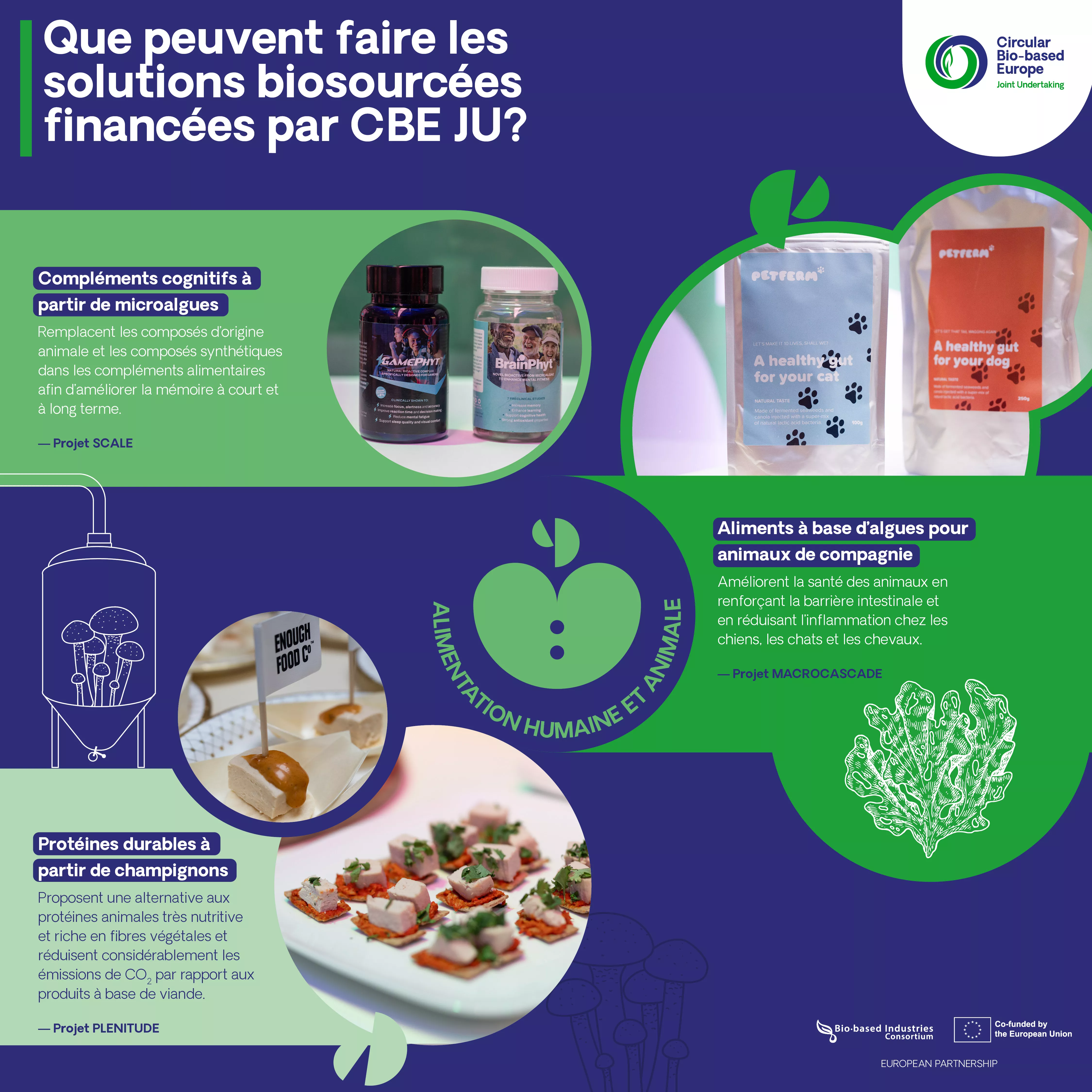 Que peuvent faire les solutions biosourcées financées par CBE JU? 3