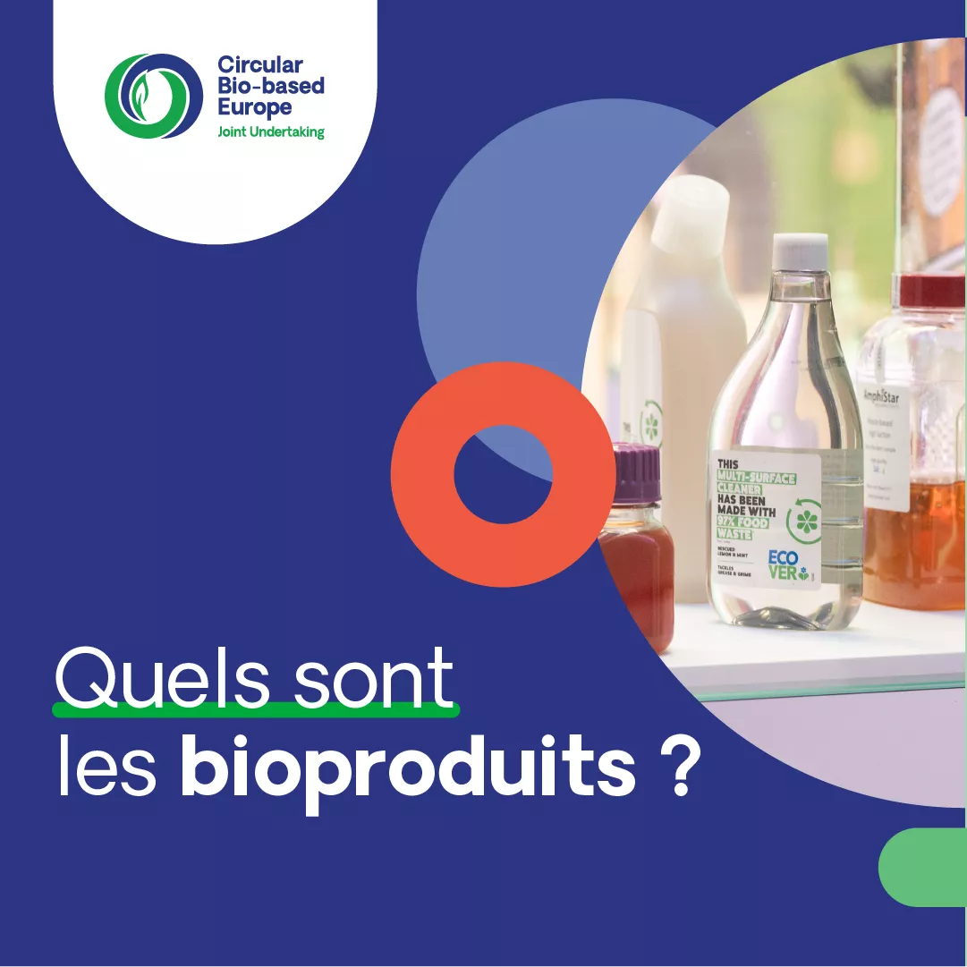 Quels sont les bioproduits ? 1