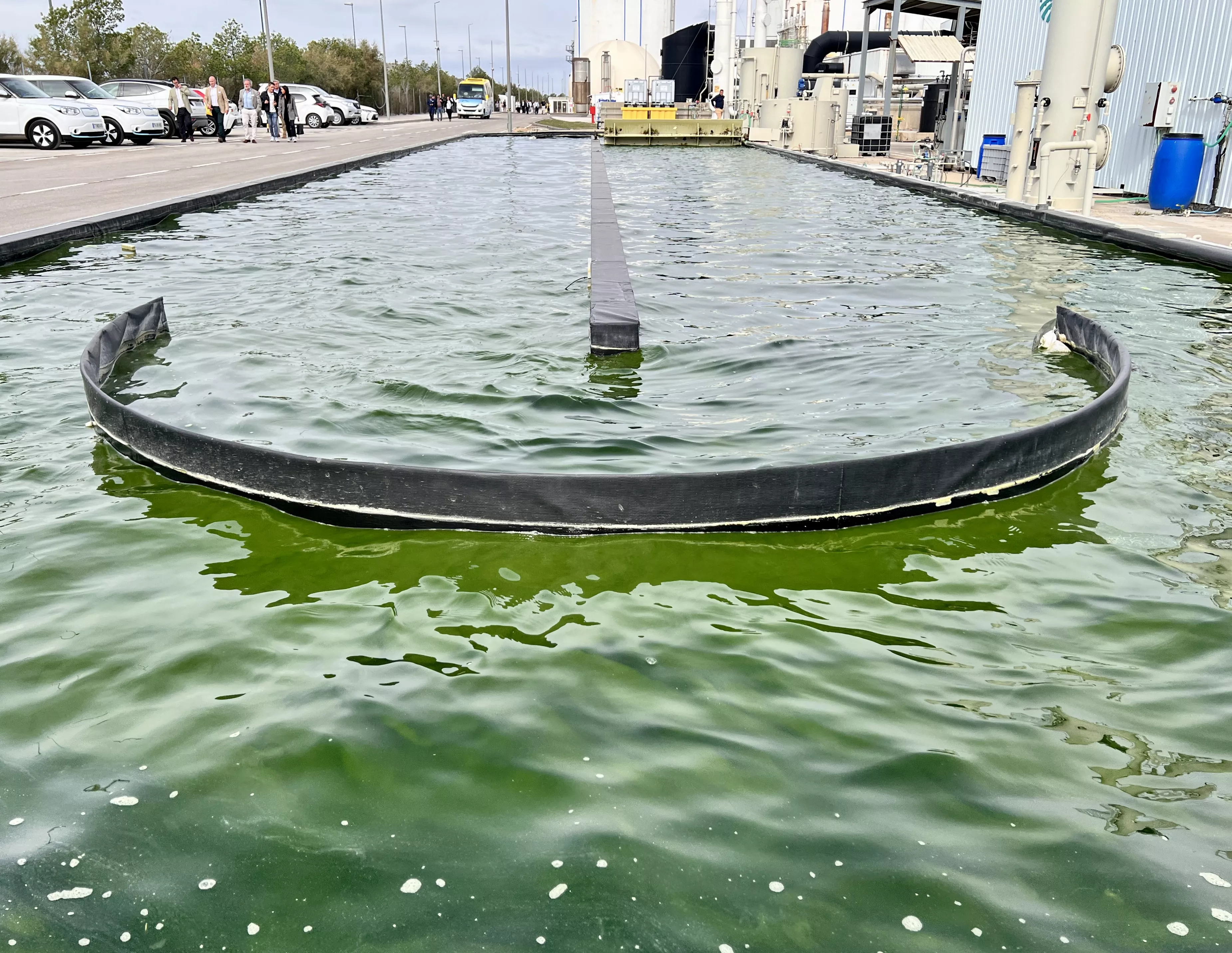 CBE JU-funded CIRCULAR BIOCARBON biorefinery's microalgae growing pool
