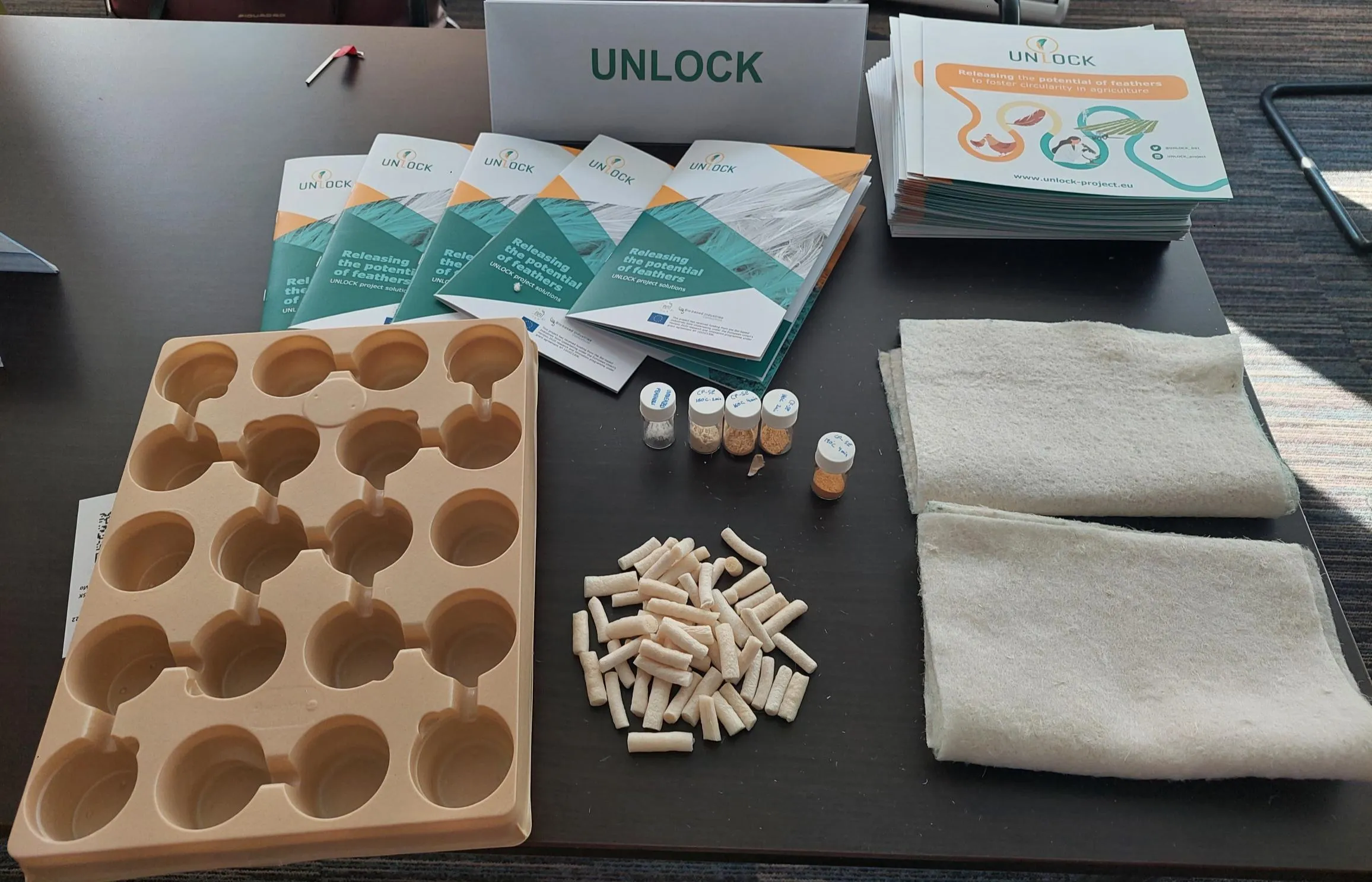 Cluster workshop 2026 - UNLOCK