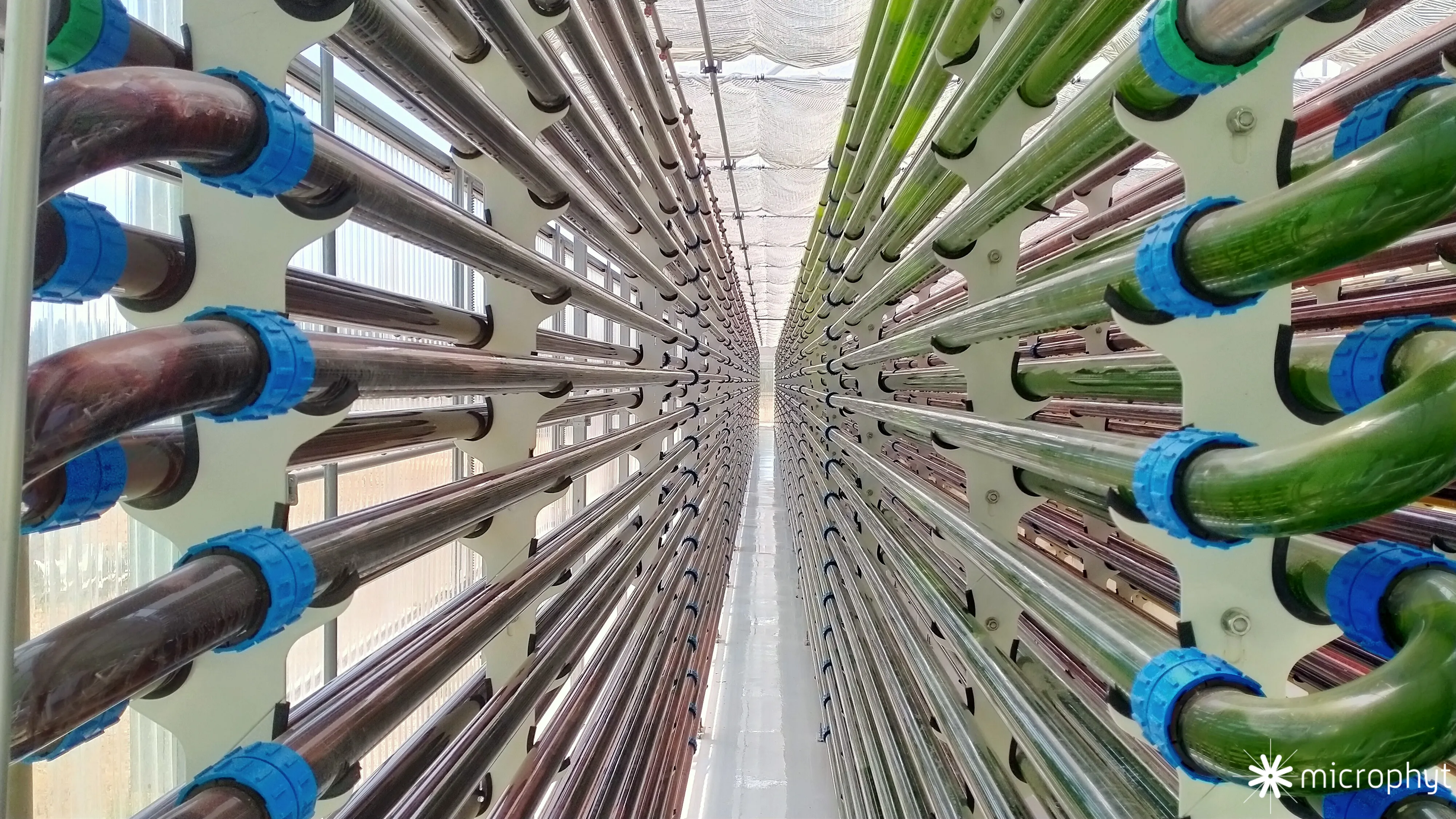 SCALE biorefinery technology