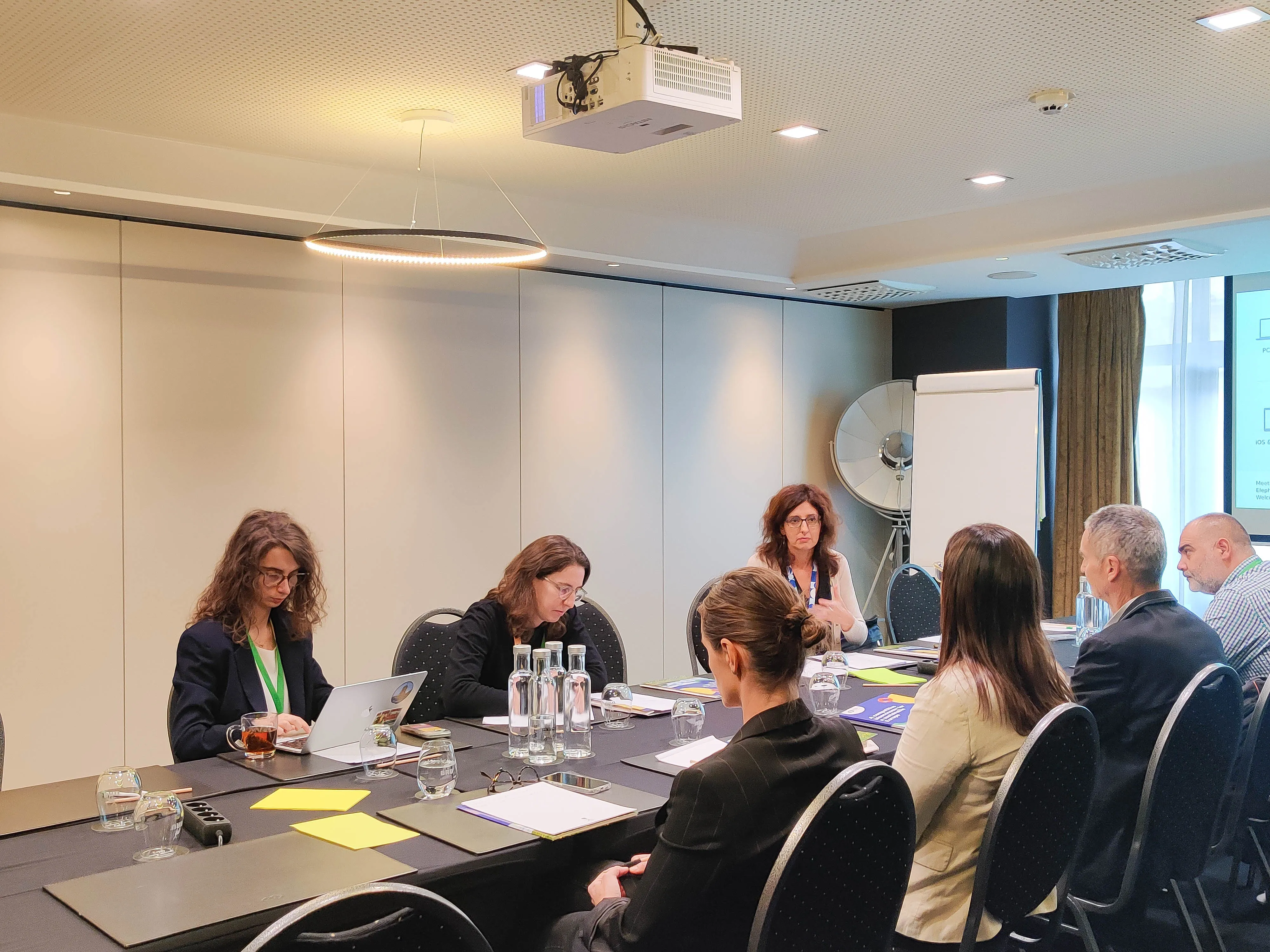 Synergies Workshop