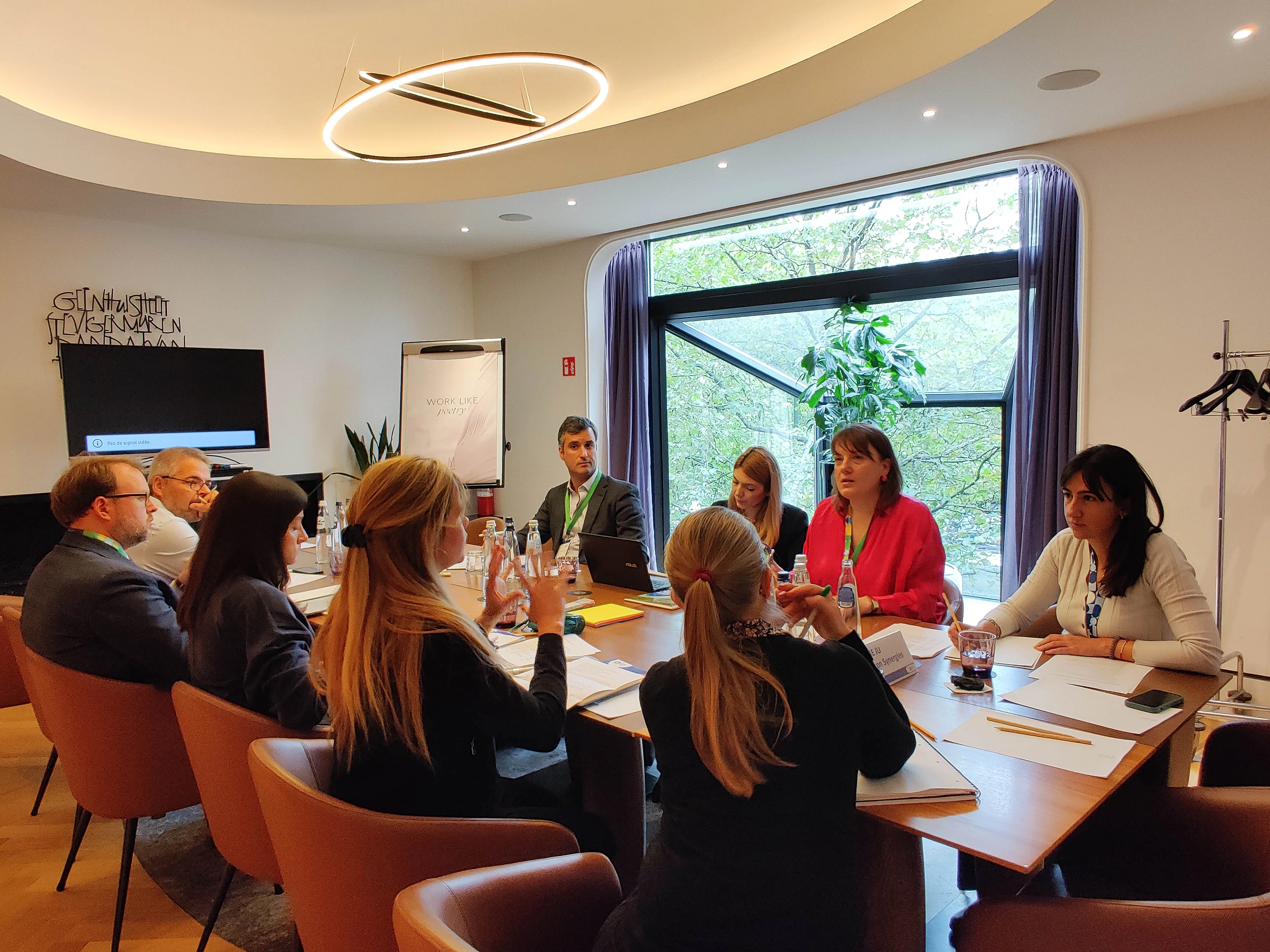 Synergies Workshop