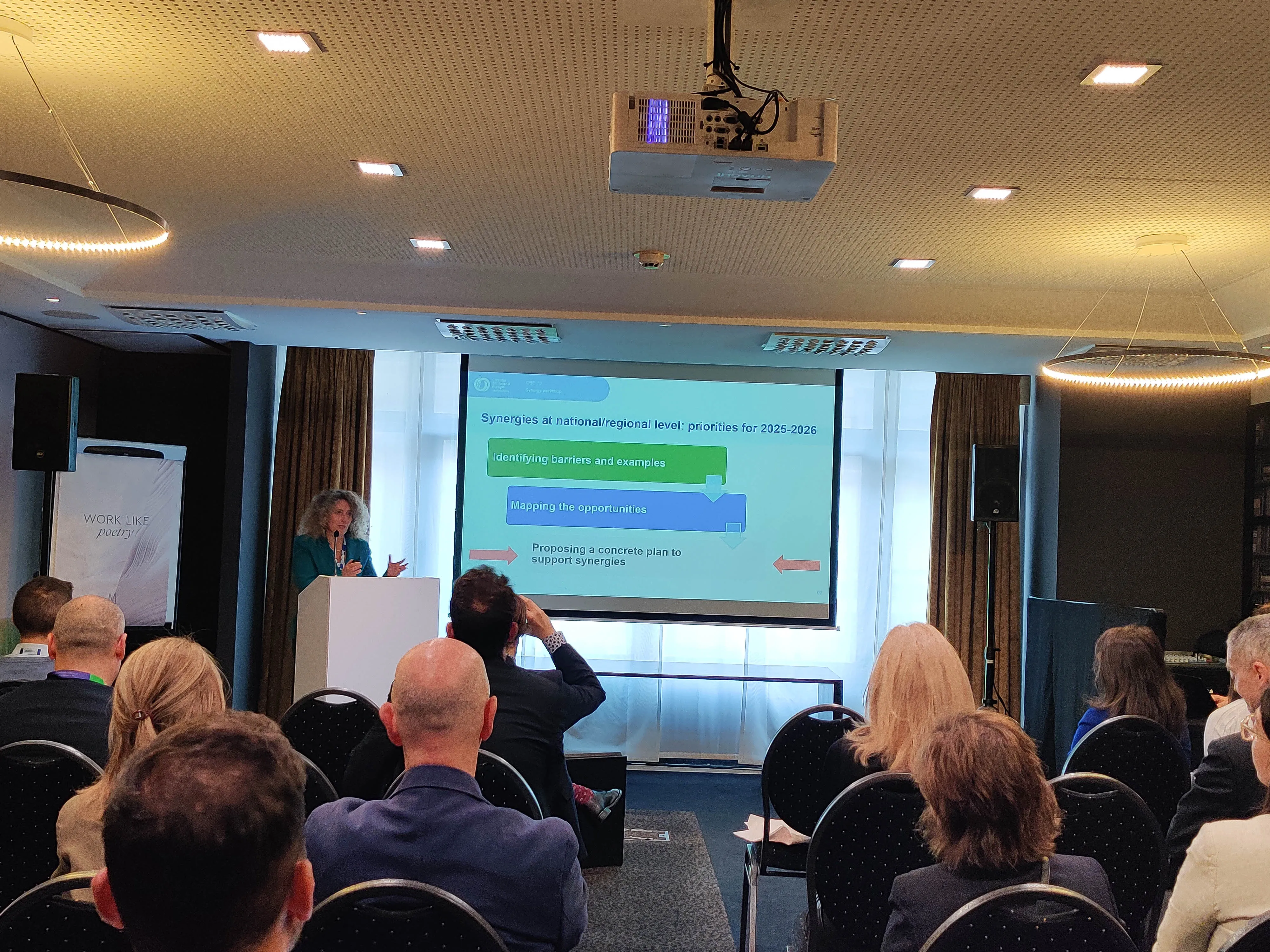 Synergies Workshop