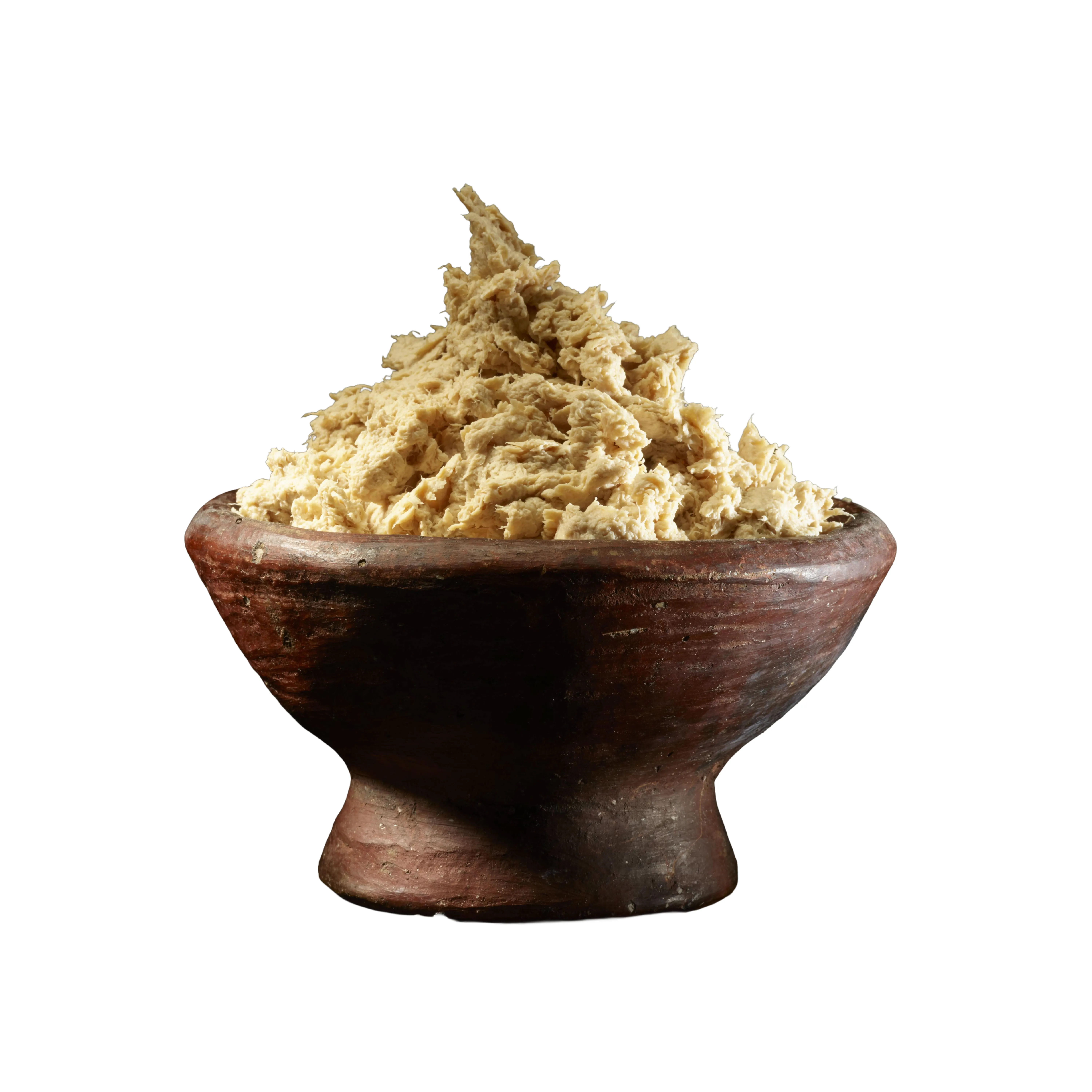 Plenitude - ABUNDA mycoprotein ingredient