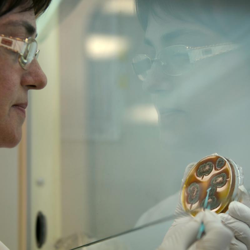 female scientist at work