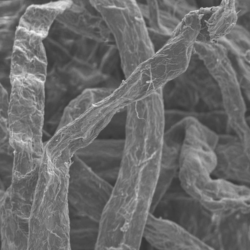 GRETE mircrofibers