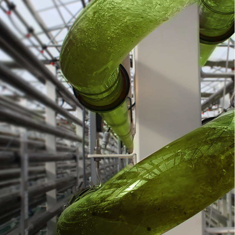 Inside overview of SCALE biorefinery