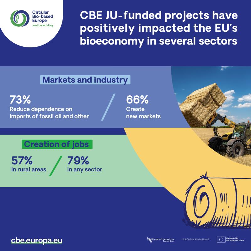Infographic Highlights: Annual Report 2023