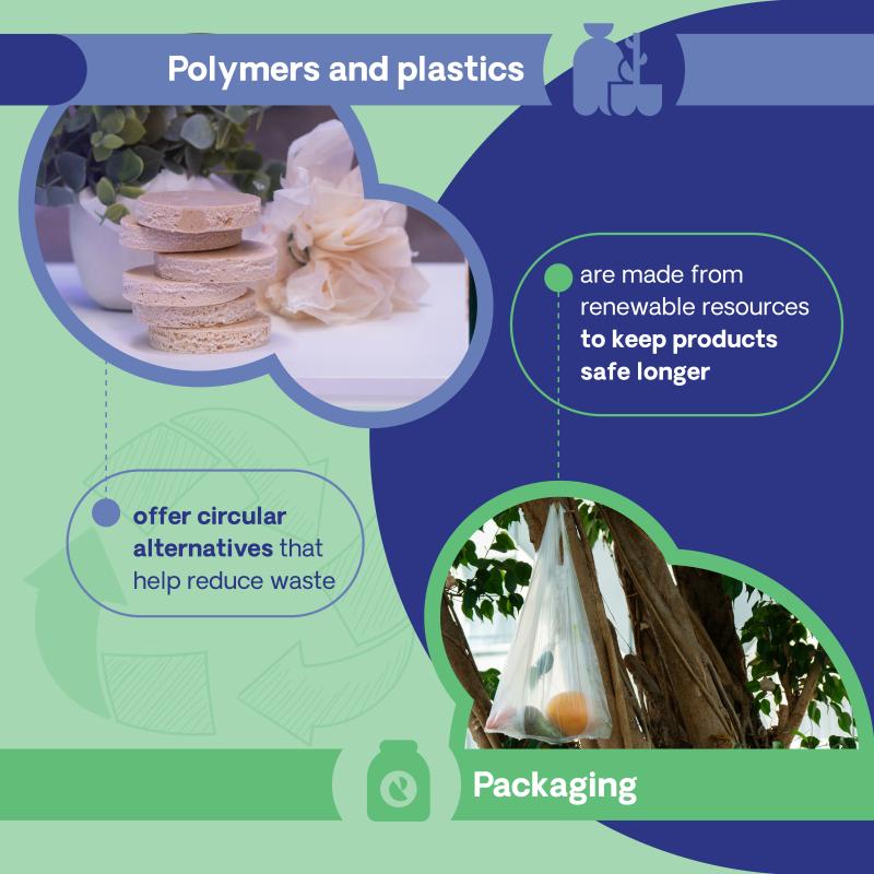 What are the bio-based products? Polymers, plastics and packaging
