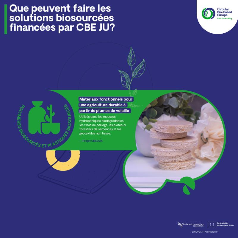 Que peuvent faire les solutions biosourcées financées par CBE JU? 8