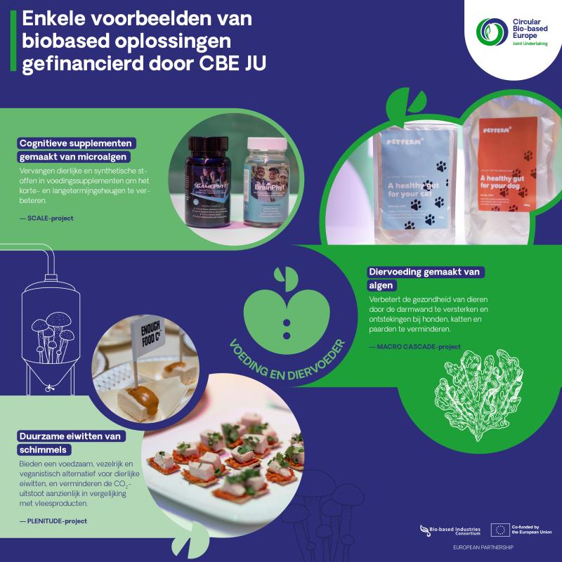 Enkele voorbeelden van biobased oplossingen gefinancierd door CBE JU? 3