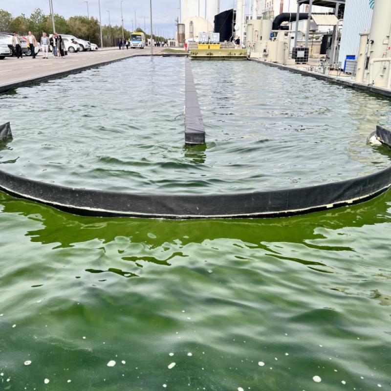 CBE JU-funded CIRCULAR BIOCARBON biorefinery's microalgae growing pool