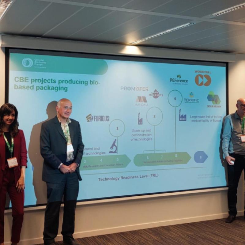 Cluster workshop 2026 - panellists