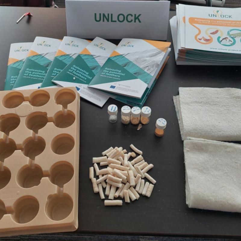 Cluster workshop 2026 - UNLOCK