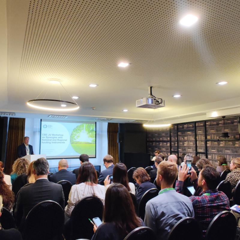 Synergies Workshop