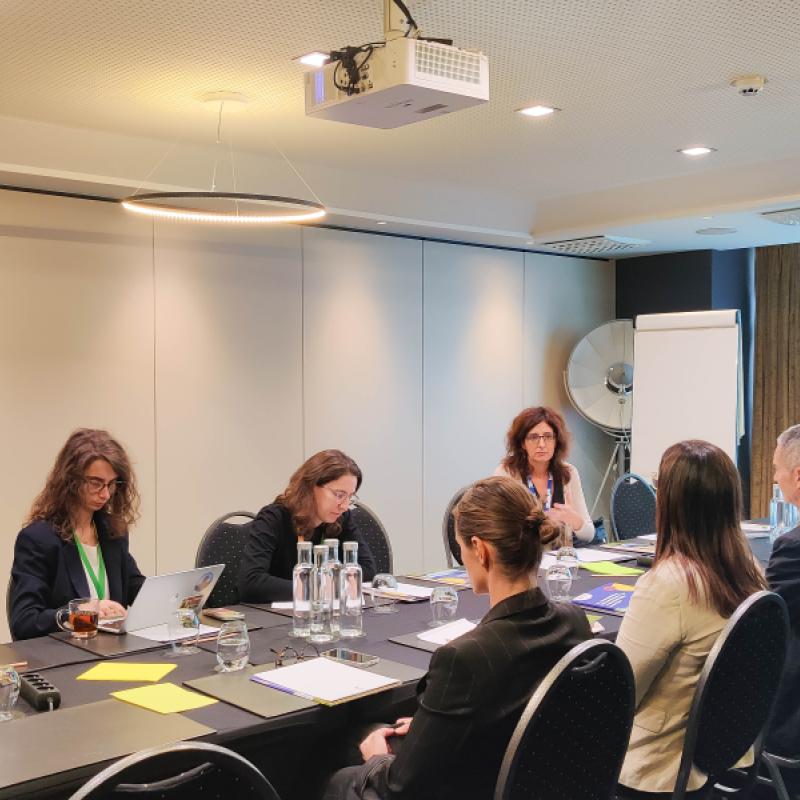 Synergies Workshop