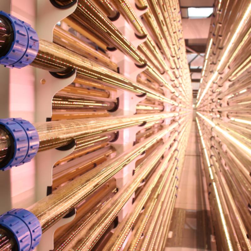 2 (20)_SCALE_© microphyt_PhotobioreactorCarmargues_baillarguesFR_0.jpg